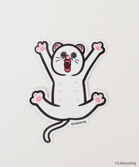 柄5(プンパン) / F