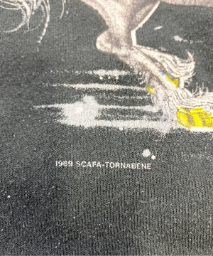 FRUIT OF THE LOOMラグランスウェット