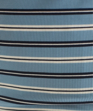 ブルー系その他（ブルーボーダー）