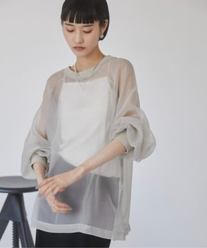 ライトグレー（Lグレー）