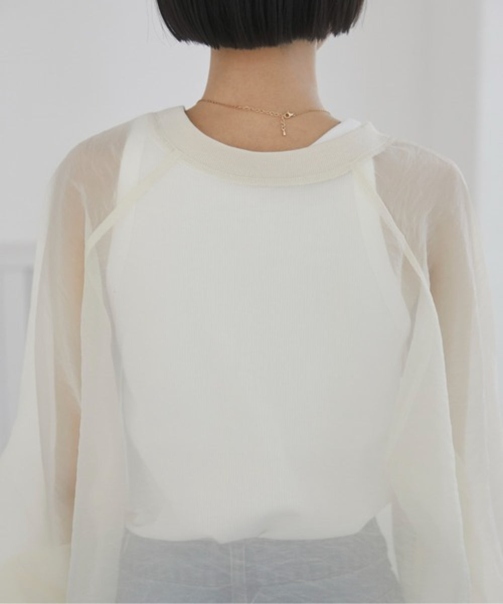 アイボリー（ホワイトアイボリー）