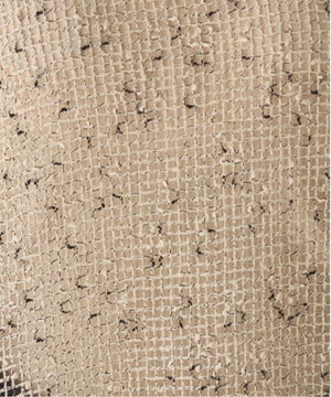 アイボリー（ホワイトアイボリー）