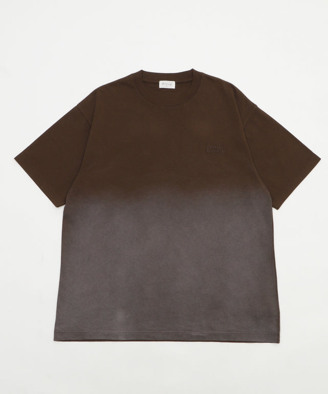 ブラウンソノタ