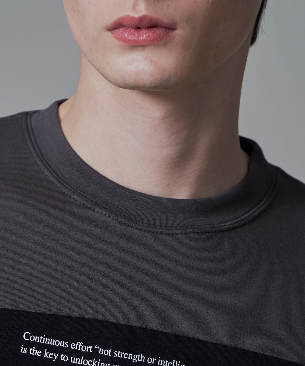 ポンチカラーパネルT（SS）