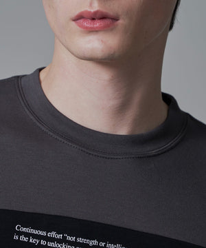 ポンチカラーパネルT（SS）