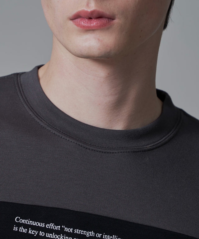 ポンチカラーパネルT（SS）