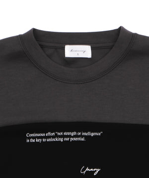 ポンチカラーパネルT（SS）