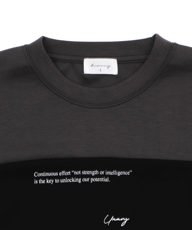 ポンチカラーパネルT（SS）