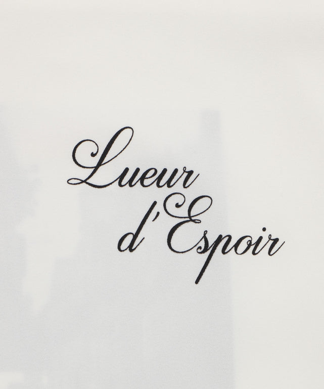 アムンゼンフォトプリントBIGシャツ（SS）