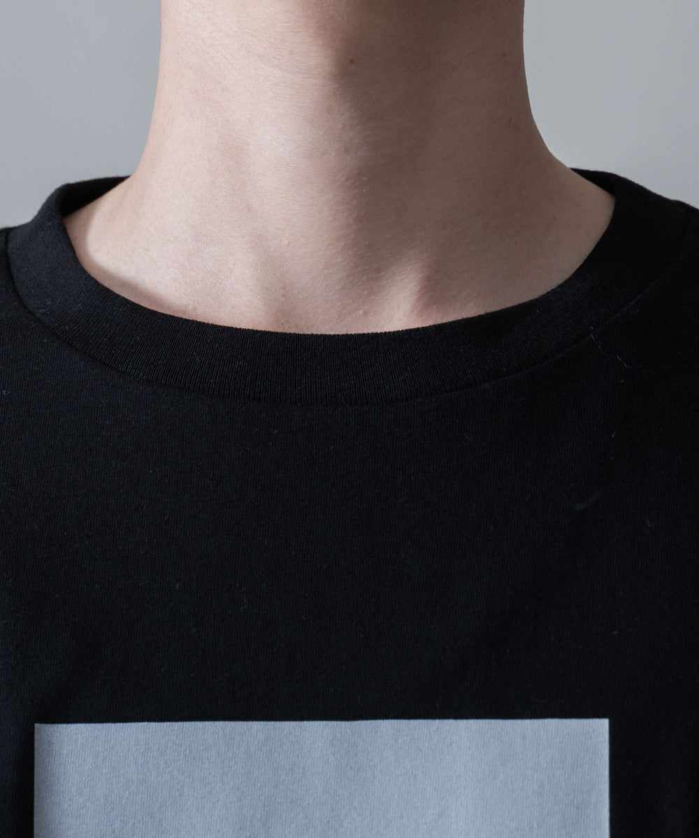 チェックドッキングT（SS）