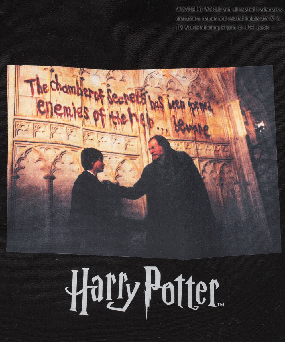 ハリー&フィルチ(柄3)