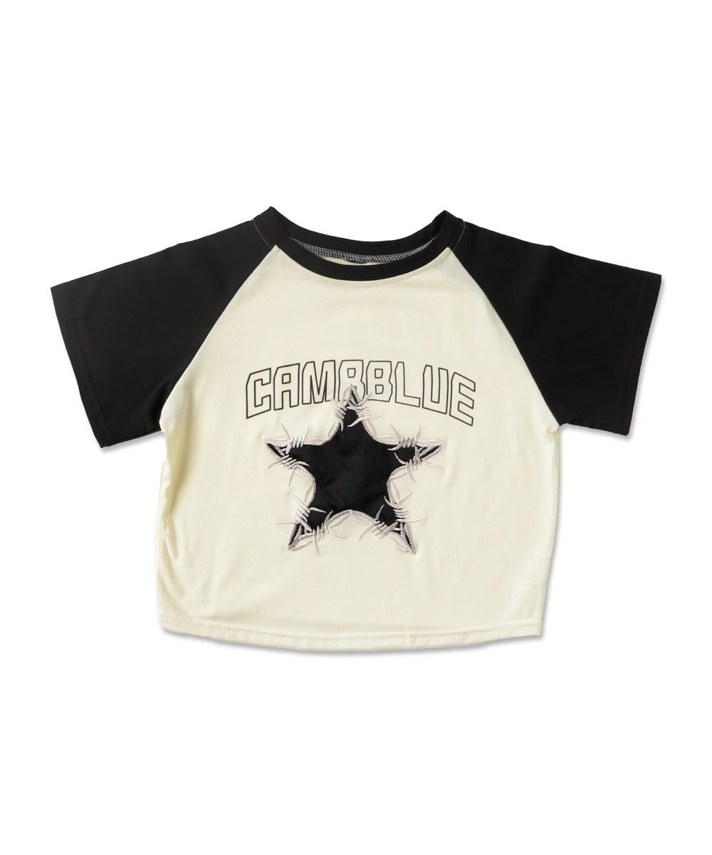 ホワイトアイボリー