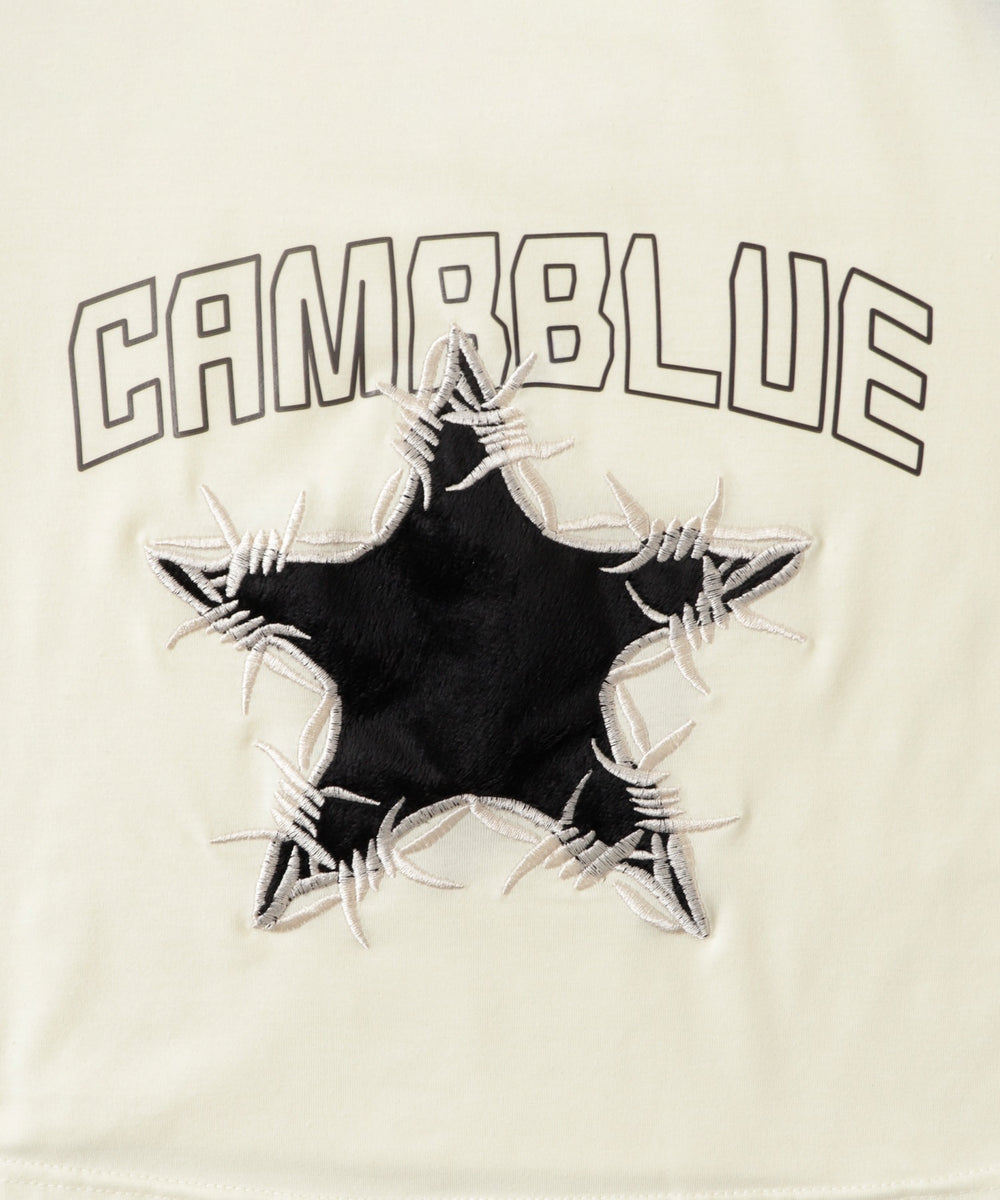 CAMBBLUEスターT
