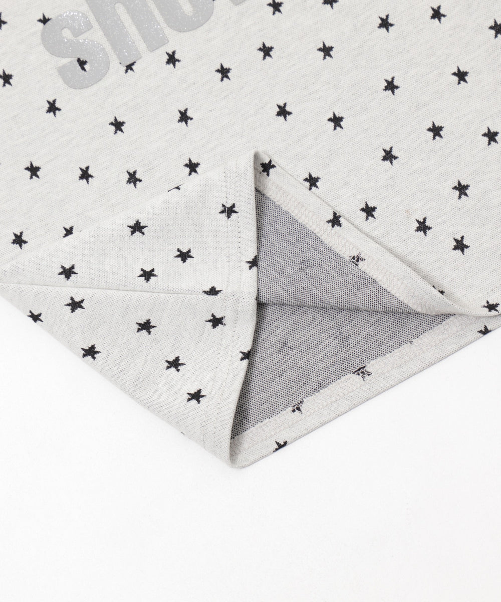 スターラメロゴトップ