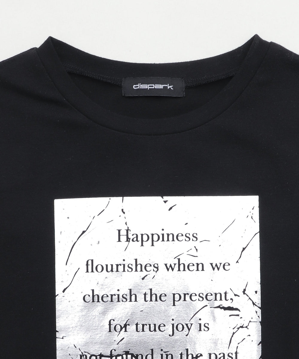 ボックスロゴ箔プリントピチT