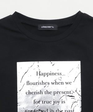 ボックスロゴ箔プリントピチT