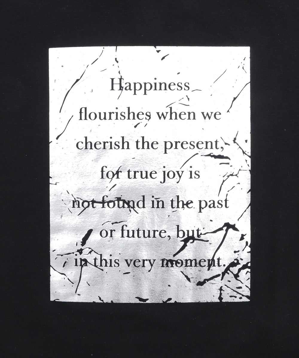 ボックスロゴ箔プリントピチT