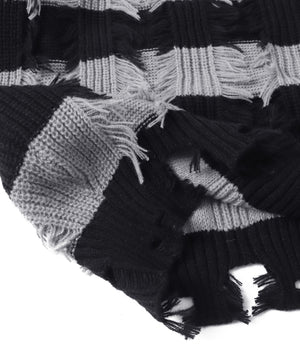 デストロイボーダーニット