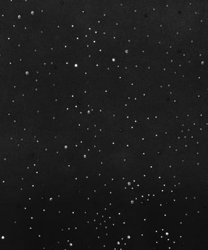 ビジュースウェット