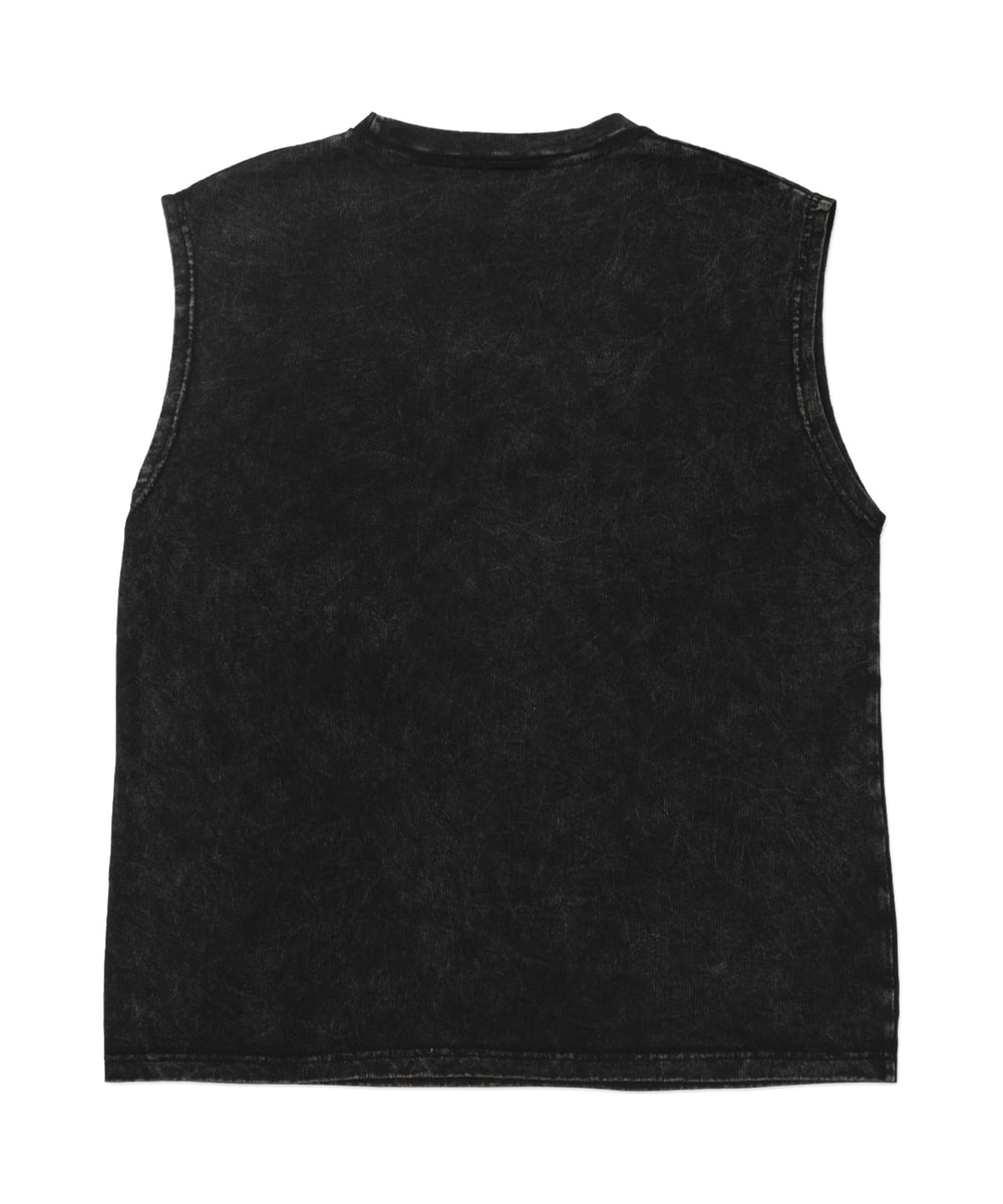 ピグメントノースリイーグルビッグT