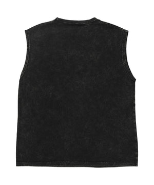 ピグメントノースリイーグルビッグT