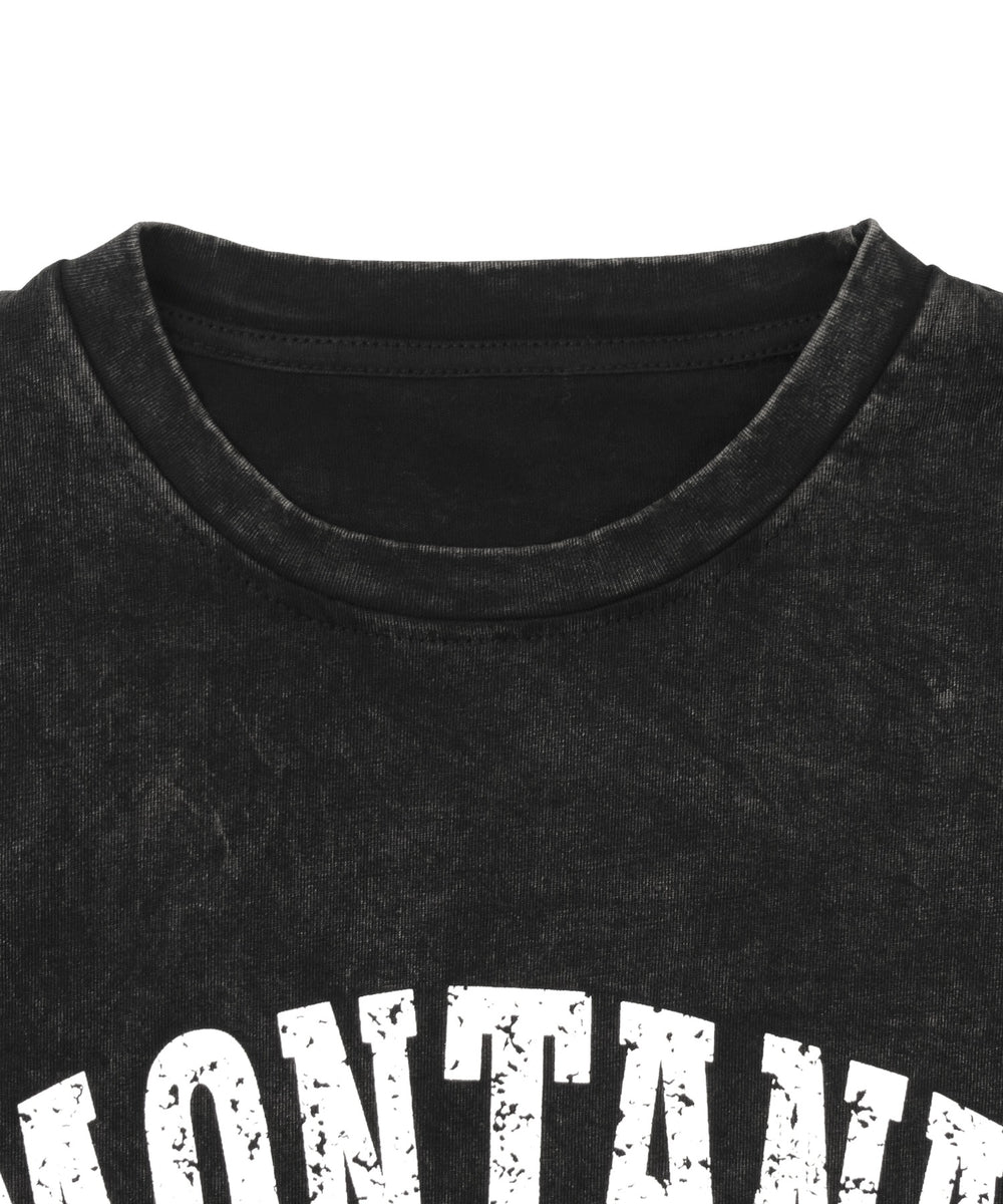 ピグメントノースリイーグルビッグT