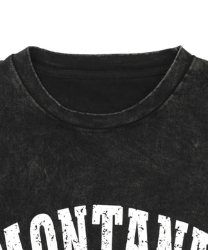 ピグメントノースリイーグルビッグT