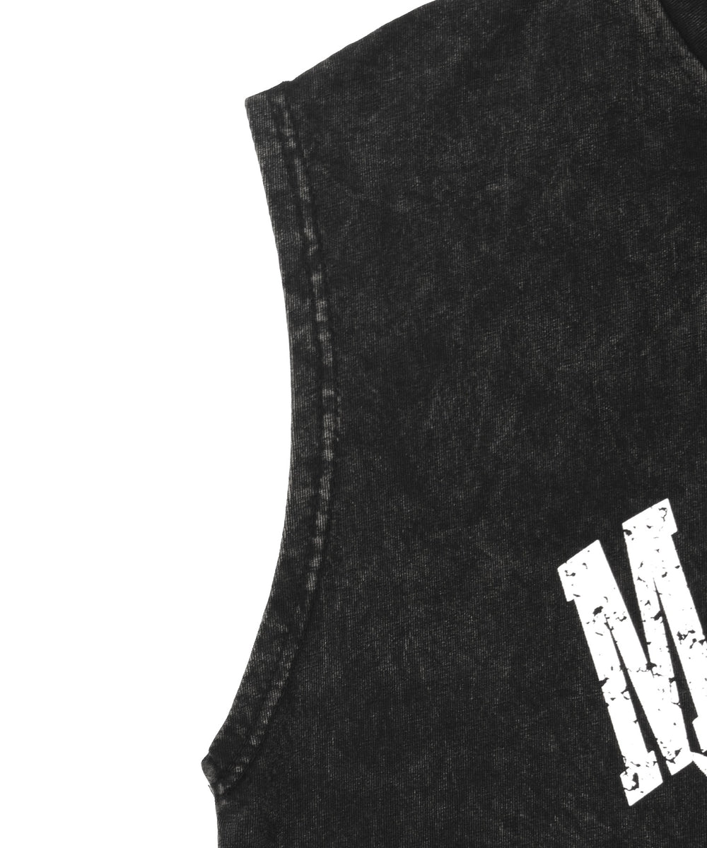 ピグメントノースリイーグルビッグT