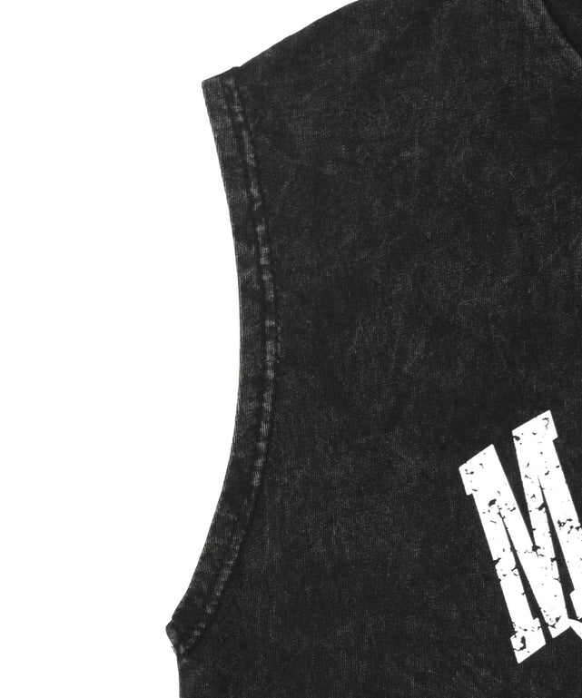 ピグメントノースリイーグルビッグT