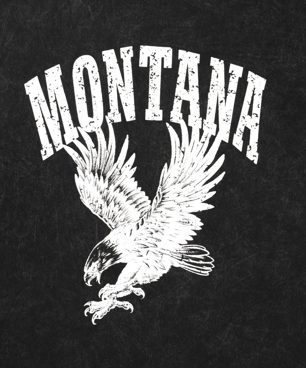 ピグメントノースリイーグルビッグT