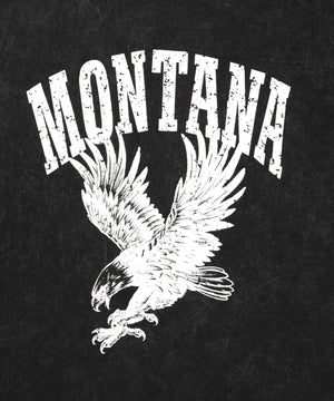 ピグメントノースリイーグルビッグT