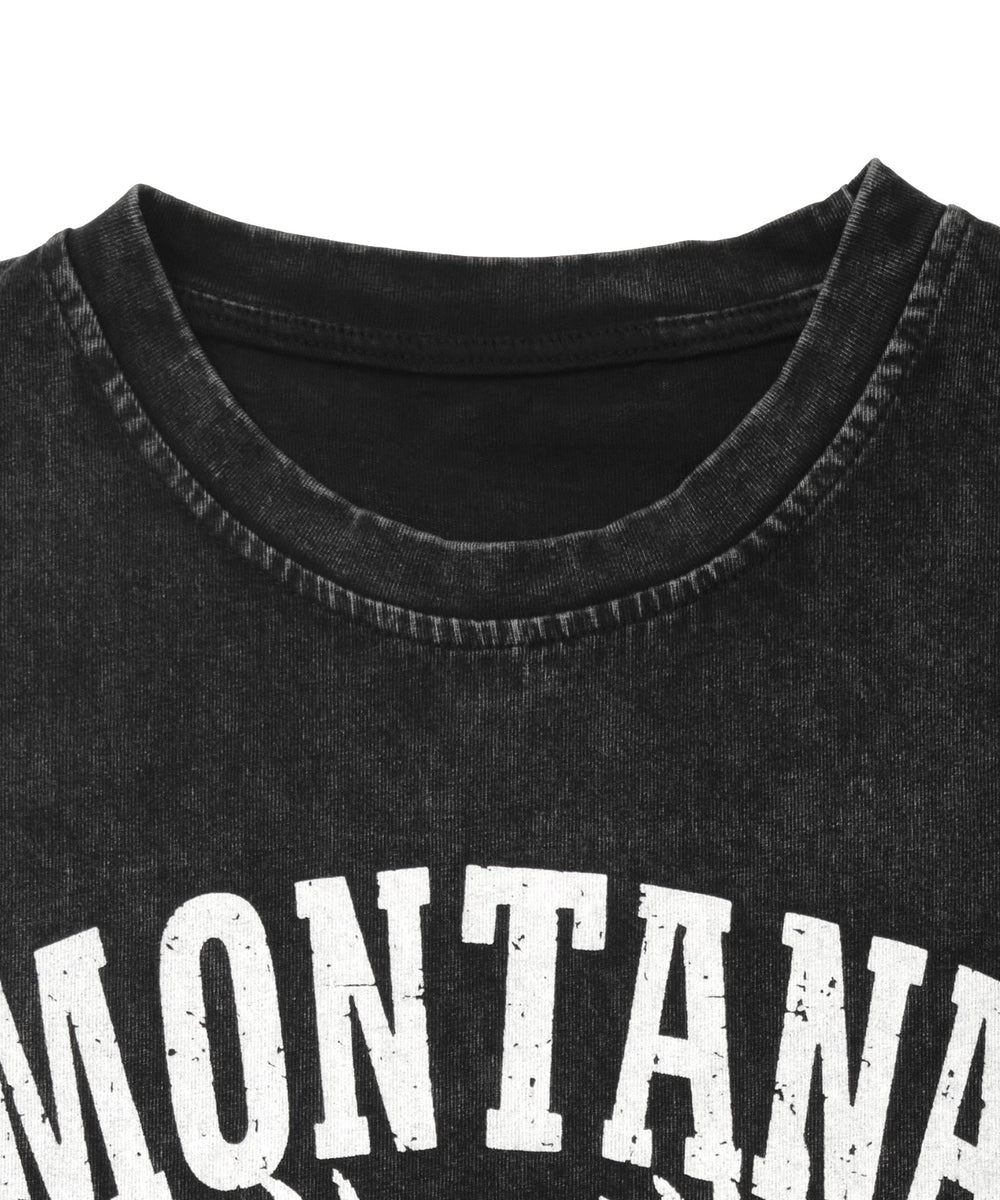 ピグメントクロップドイーグルT