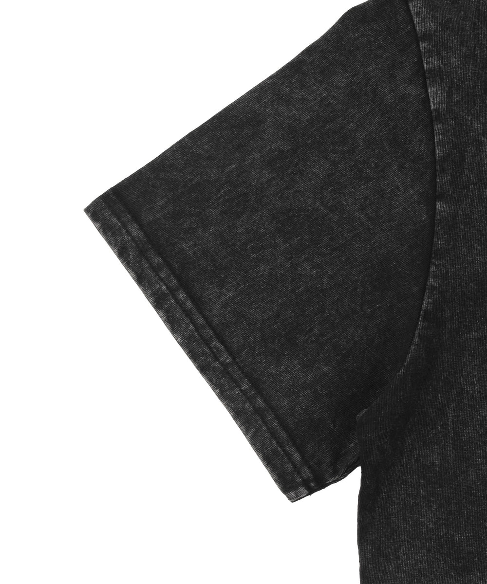 ピグメントクロップドイーグルT