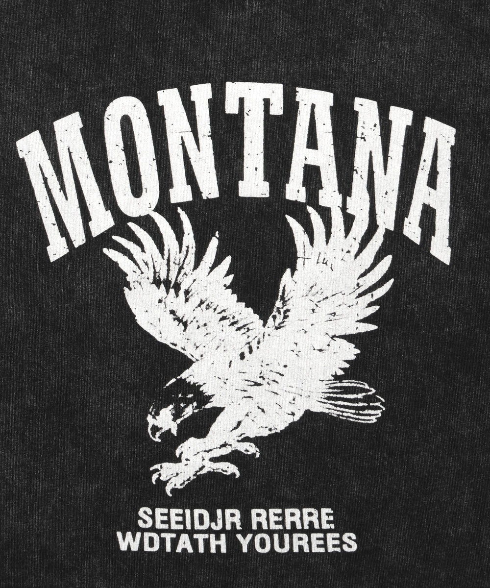 ピグメントクロップドイーグルT