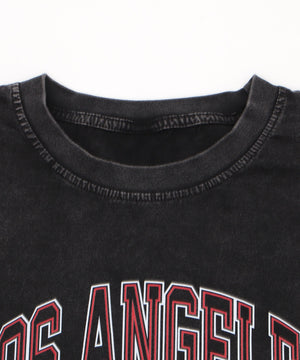 ピグメントCITYロゴビッグT