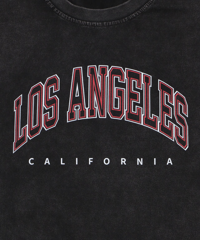 ピグメントCITYロゴビッグT