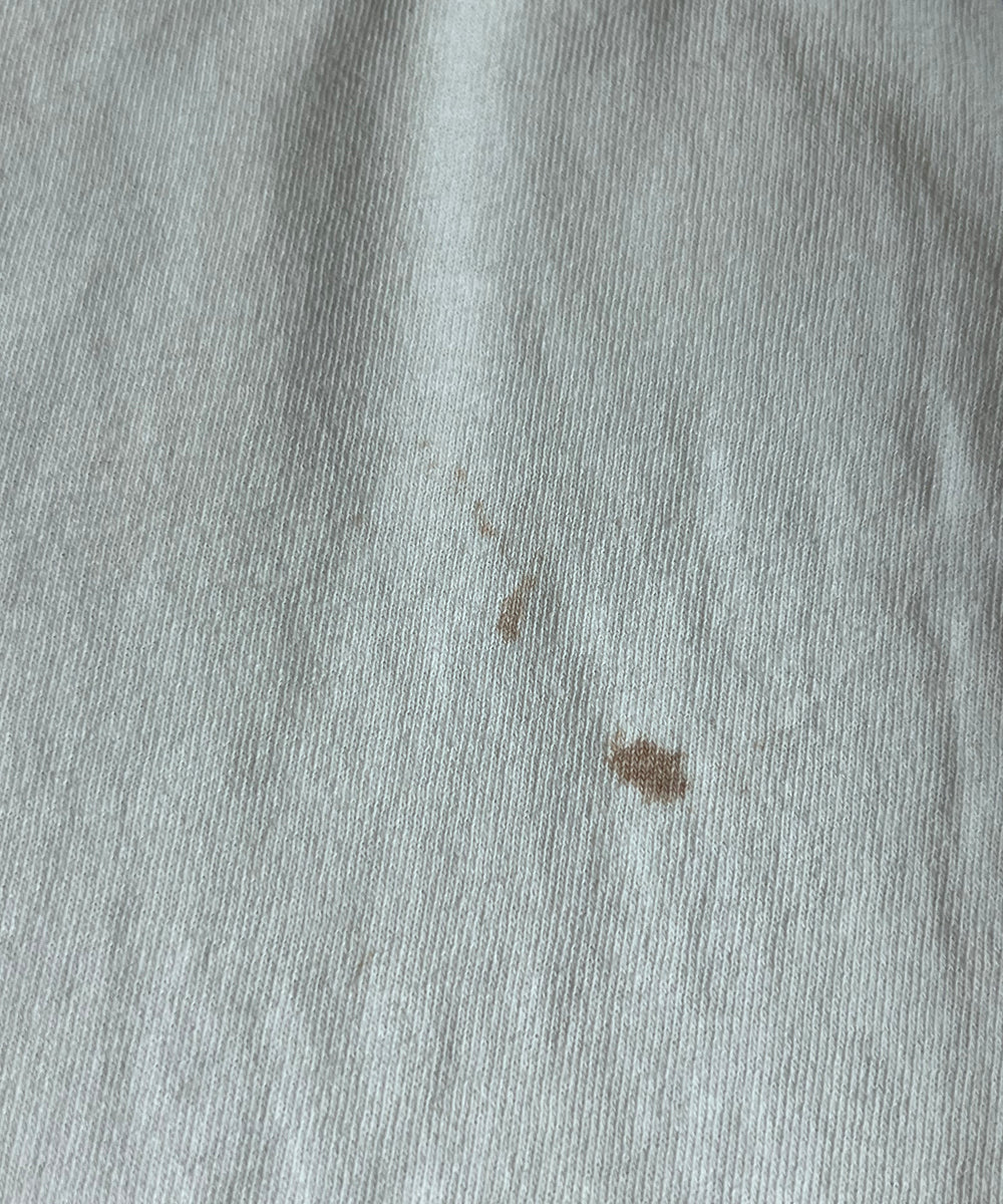 THE PRETENDERSTシャツ