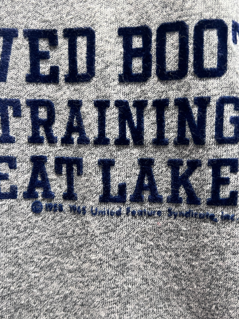 SNOOPY スヌーピーTシャツ