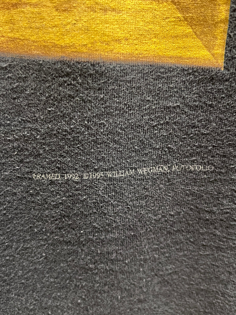 William wegman フォトTシャツ