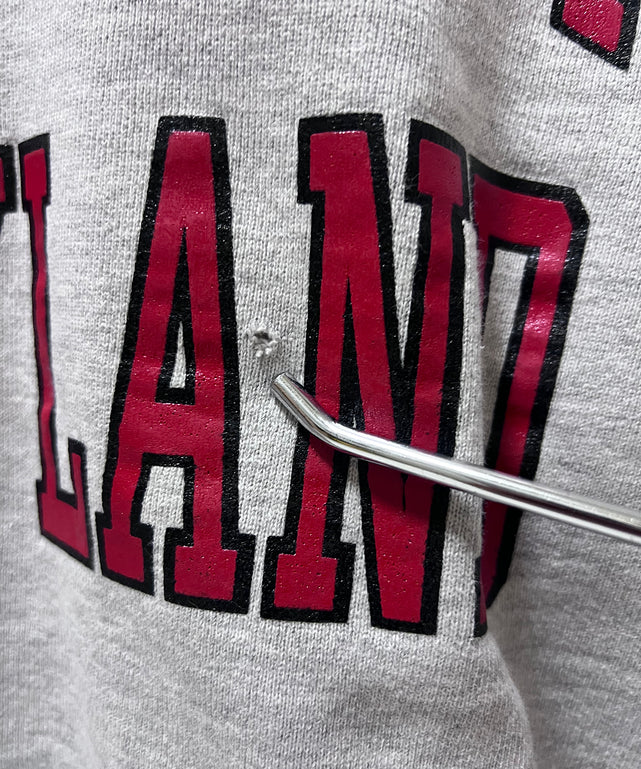 Championリバースウィーブ