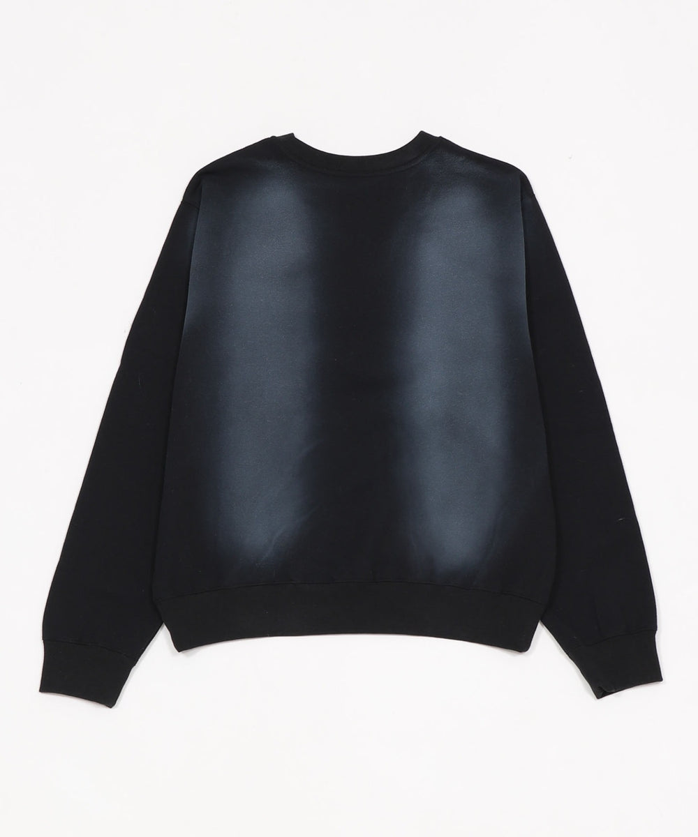 裏起毛サークルロゴプルオーバー