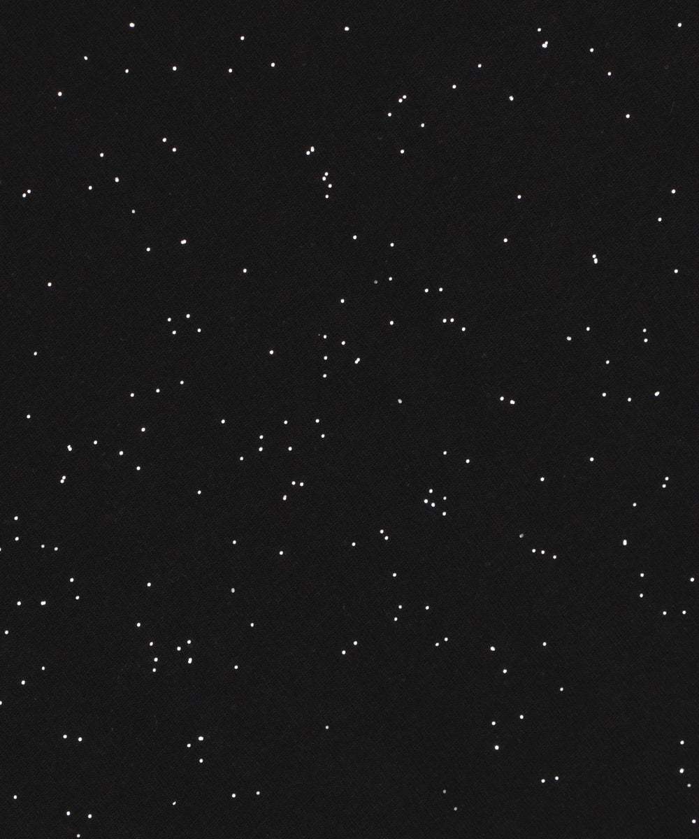 ラメグラフィックT（SS）