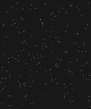 ラメグラフィックT（SS）