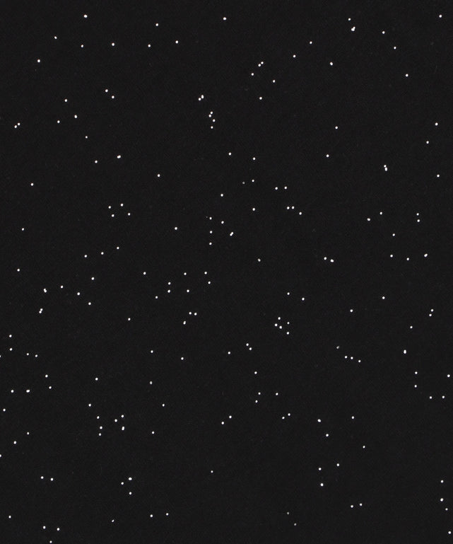 ラメグラフィックT（SS）