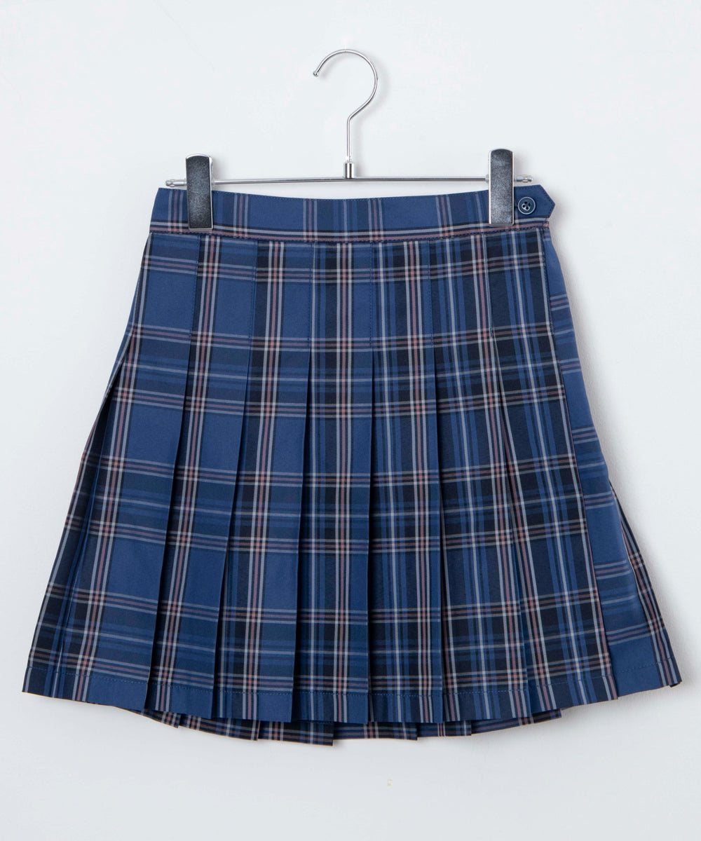 ブルーチェック2