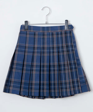 ブルーチェック2