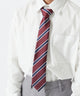 メンズエンブレム柄スクールネクタイ/レッドストライプ(柄2)