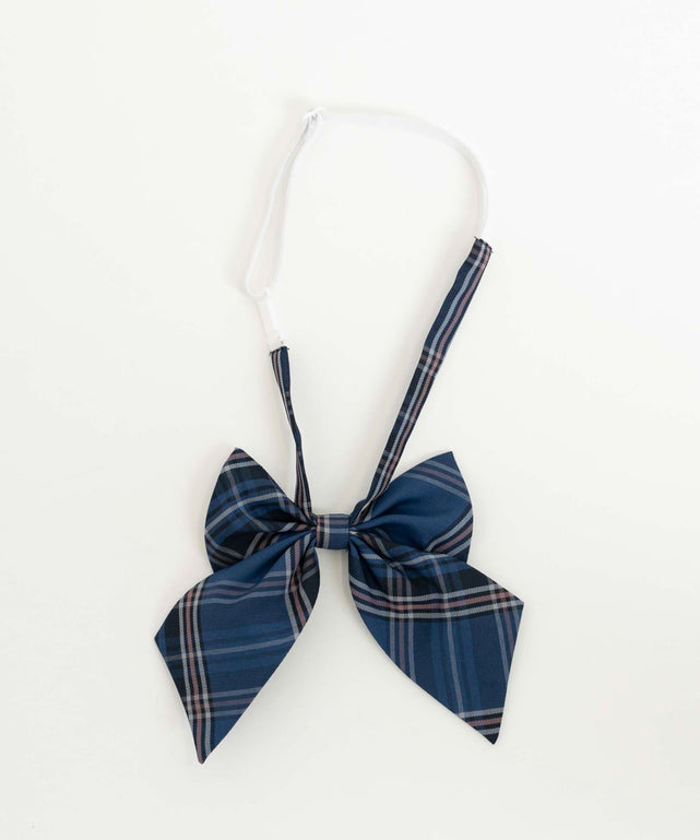 ブルーチェック2