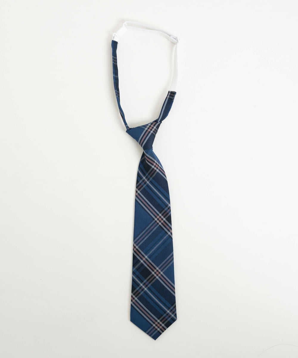 ブルーチェック2