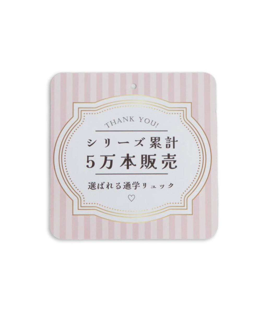 イーストボーイデイパックA